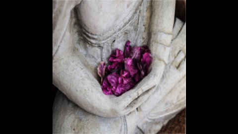 Estratto meditazione sentire - spostarsi - soffermarsi