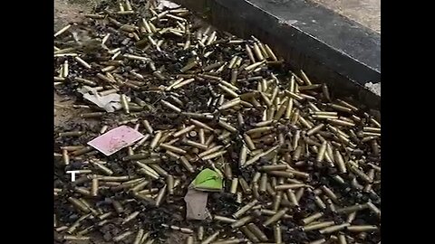 Israel Massacred Civilians Execution Style Who Were Seeking Refuge In a Gazan School