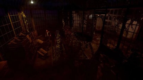 DAWN OF FEAR GAMEPLAY PS5 | GAMER ALANDAMME