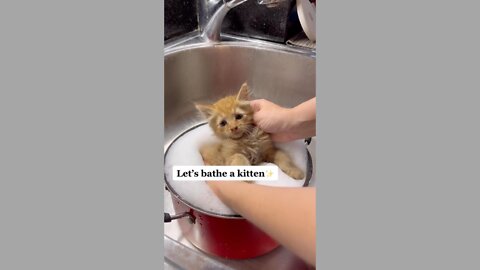 Bath time 😻🐾