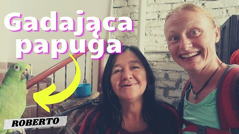 Papużka Roberto🦜⏐San Augustin⏐KOLUMBIA🇨🇴 w 2023