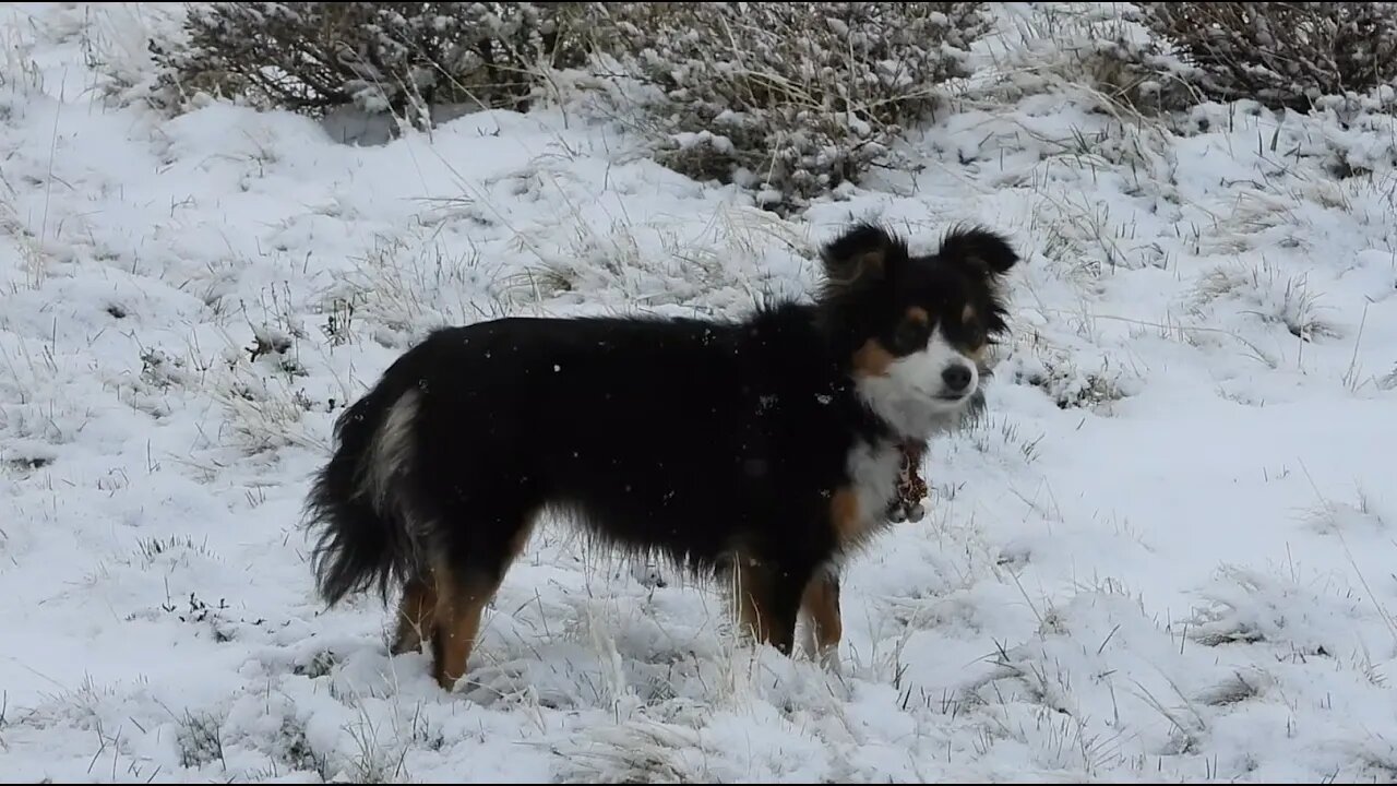 3,545 Days Until Earth Burns Up