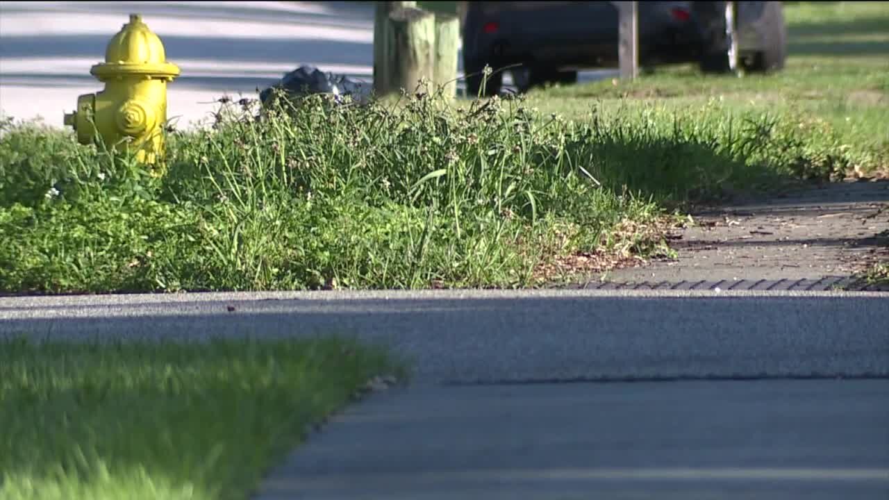 Appeals court sides with Dunedin after city fined man $30K for uncut grass