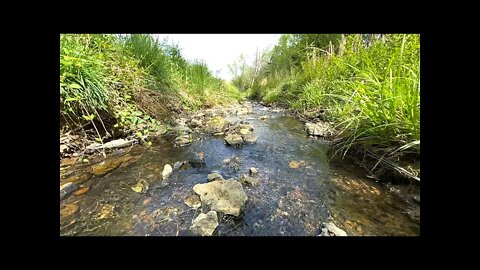 Along The Creek 🎣