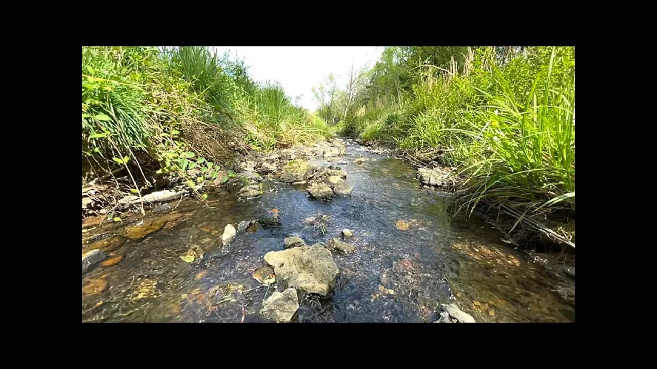 Along The Creek 🎣