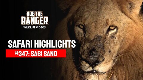 Safari Highlights #347: 02 - 05 June 2015 | Sabi Sand Wildtuin | Latest Wildlife Sightings