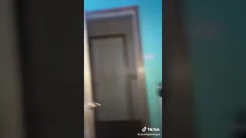Cat Starts Bugging Out For No Reason I TikTok