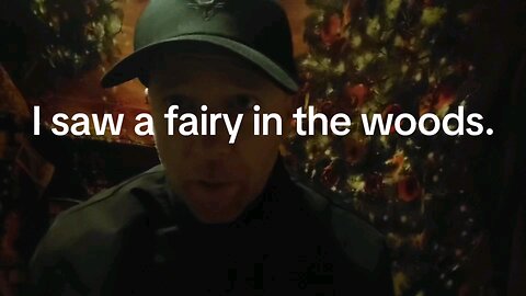 I saw a fairy in the woods.