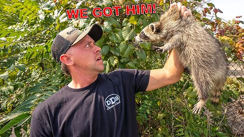 I Can't Believe I Finally Caught Him! He Instantly BIT Me...