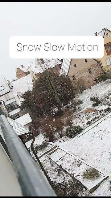 Snow Slow Motion Hd