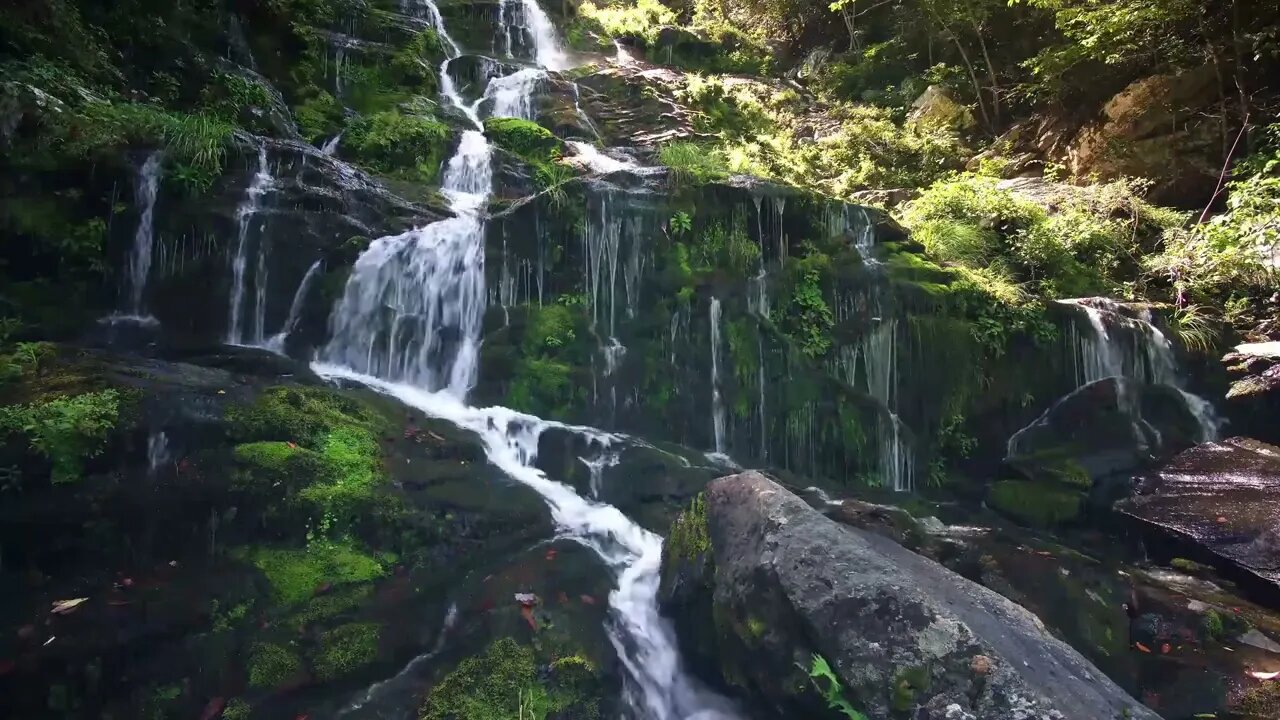 Forest Waterfall Sounds - 1 Hour Waterfall