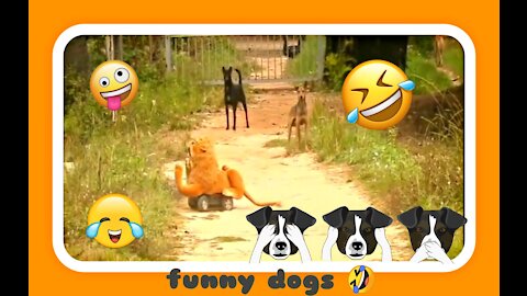 v̤̮ e̤̮ r̤̮ y̤̮ 😹 f̤̮ ṳ̮ n̤̮ n̤̮ y̤̮ 🤣 Dogs 🐕🐕