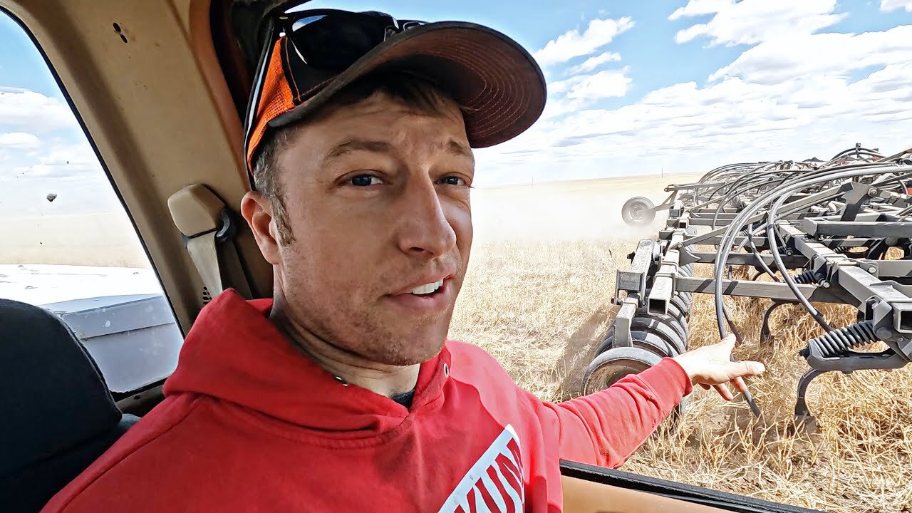 This CROP could be worth a FORTUNE...if it grows...