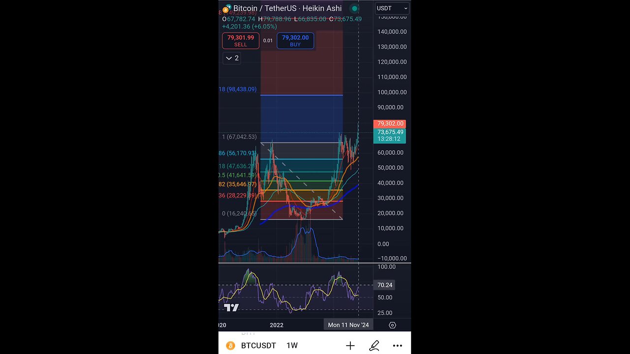 BTC ($1.6T mcap) update 2024-11-10