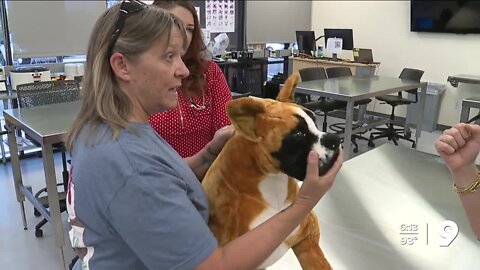 Inaugural class graduates from UArizona College of Veterinary Medicine