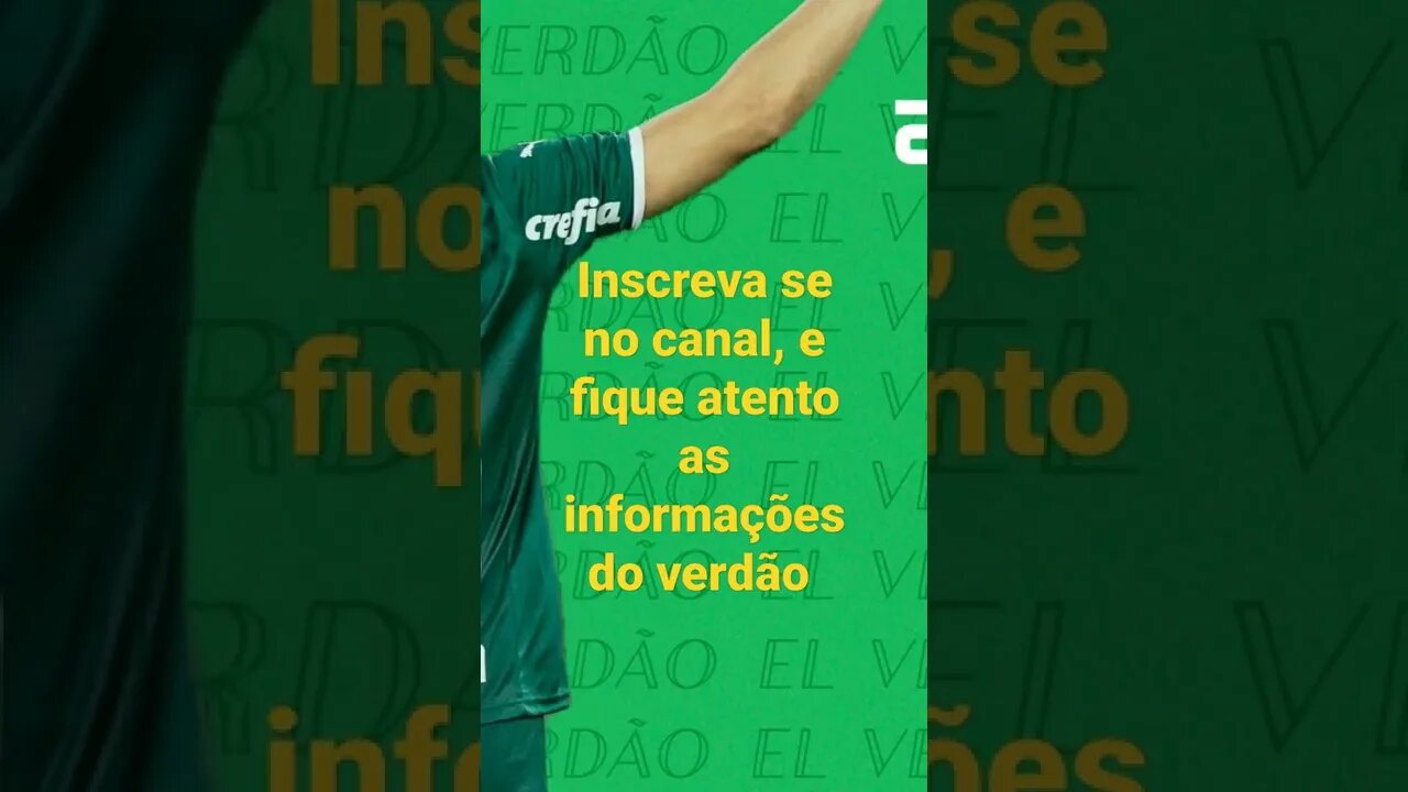 el verdão notícias #palmeiras #palmeirasnoticias #elverdão