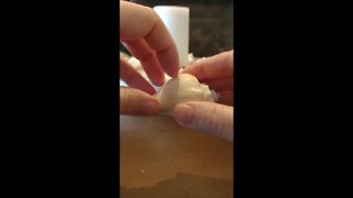 ASMR Tapping | Tapping on a Shell.