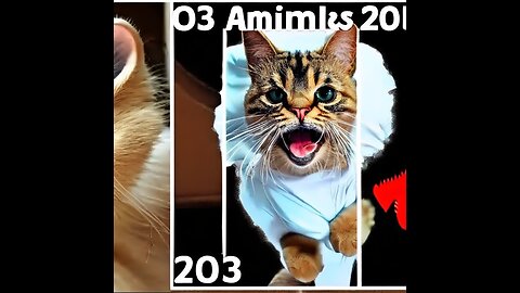 The funniest animals 2023 😂 Funny videos about cats and dogs 😺