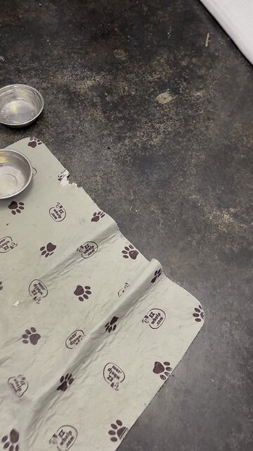 We feed a balanced raw diet