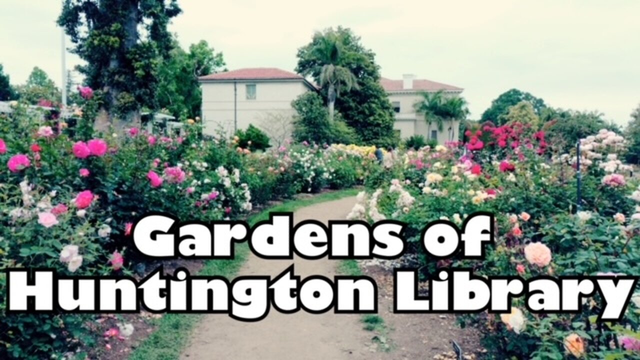 The Gardens of Huntington Library