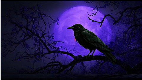 MAX IGAN - The Criminalization of Everything