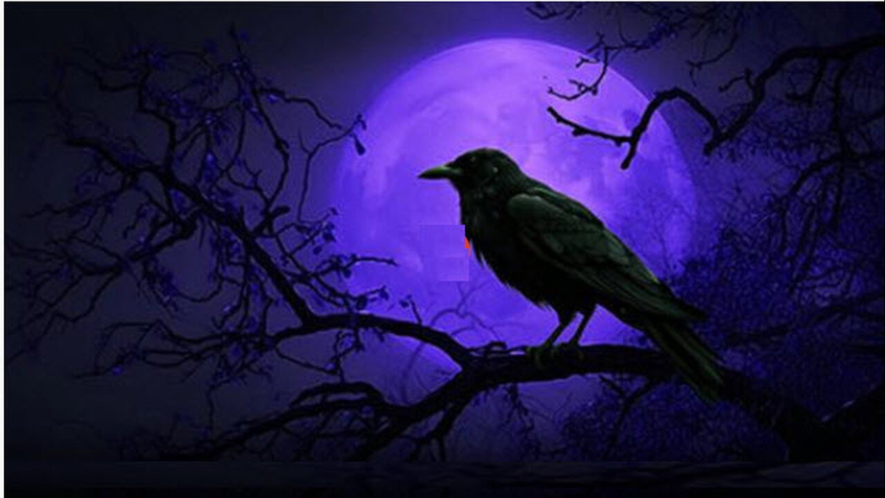 MAX IGAN - The Criminalization of Everything