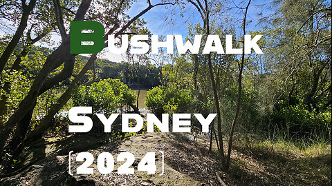 Discover the Jungle Near Home: Your Daily Bushwalking Adventure! (Sydney 2024)