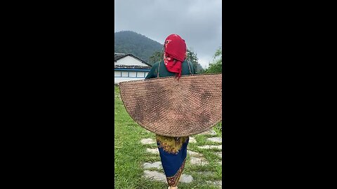 Traditional rain cover for rice farming