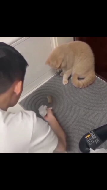 Cat reaction On Rat 🐀