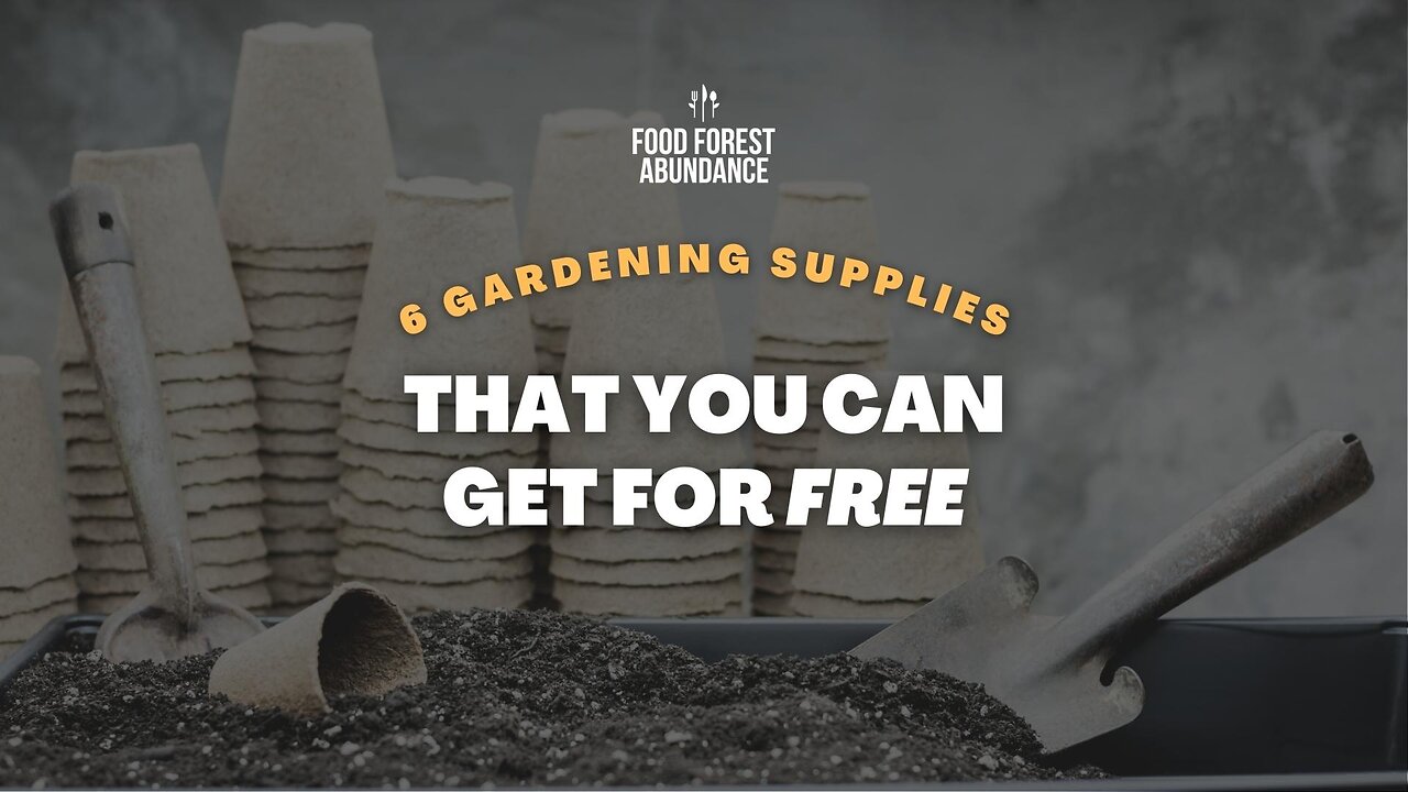 6 gardening supplies you can get for free