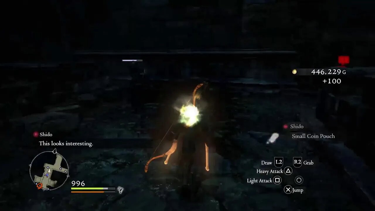 Dragons Dogma Gameplay