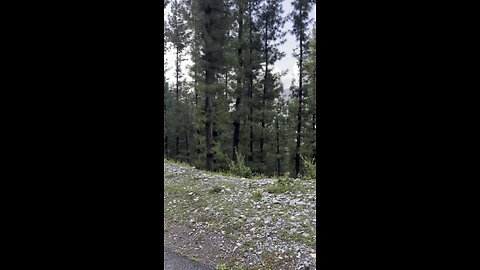 Beuti of Nature