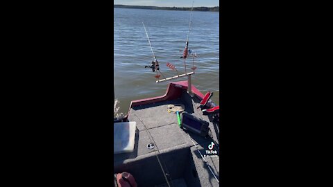 Fish Truman lake