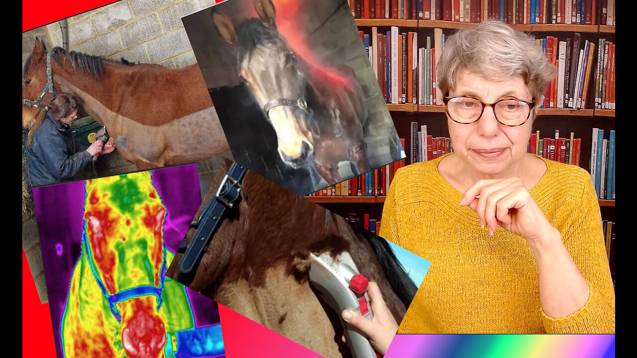 Clipping Buttercup - A Horse Tail