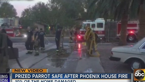Prized parrot okay tonight after home catches on fire