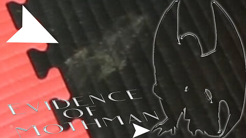 Mothman Evidence Video