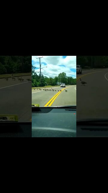 Meanwhile in Jackson, NJ