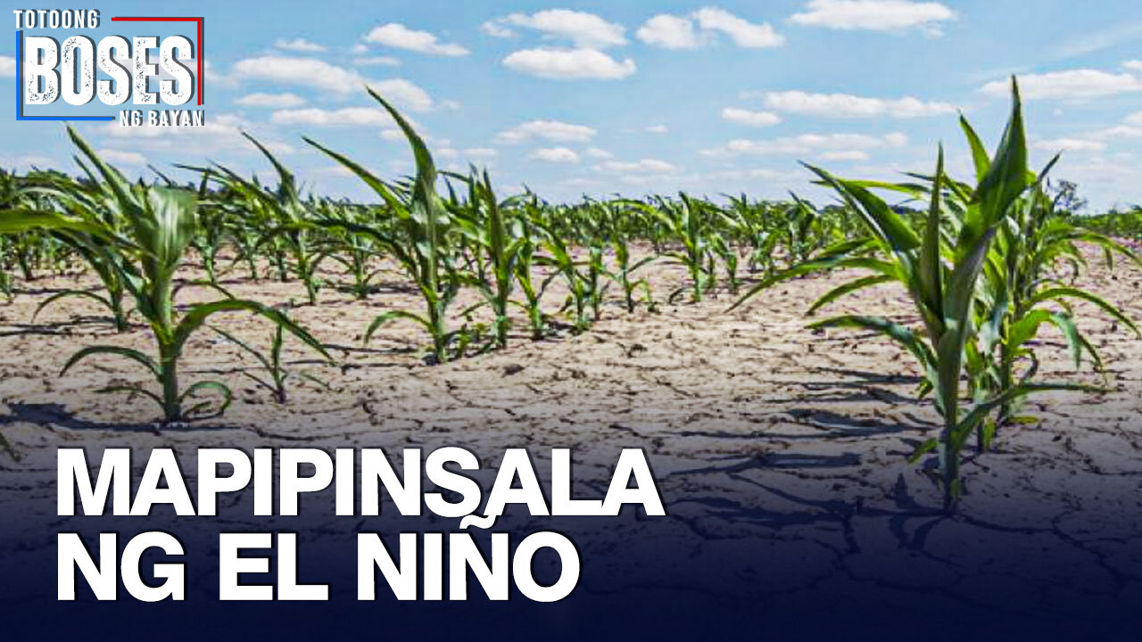 275-K ektaryang sakahan ang posibleng maapektuhan ng El Niño —Asec. Villarama