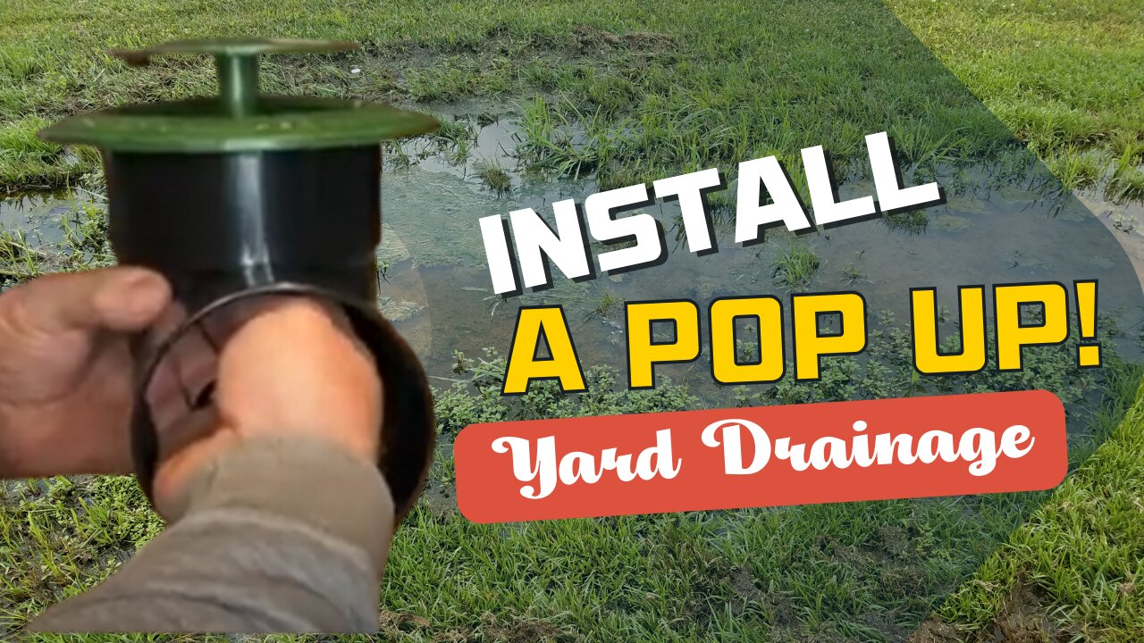 An Easy to Install Pop Up Yard Drain Outlet