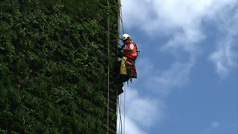 Apartments With Living Walls