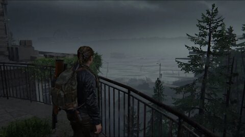 Attair Plays The Last of Us Part 2 P15