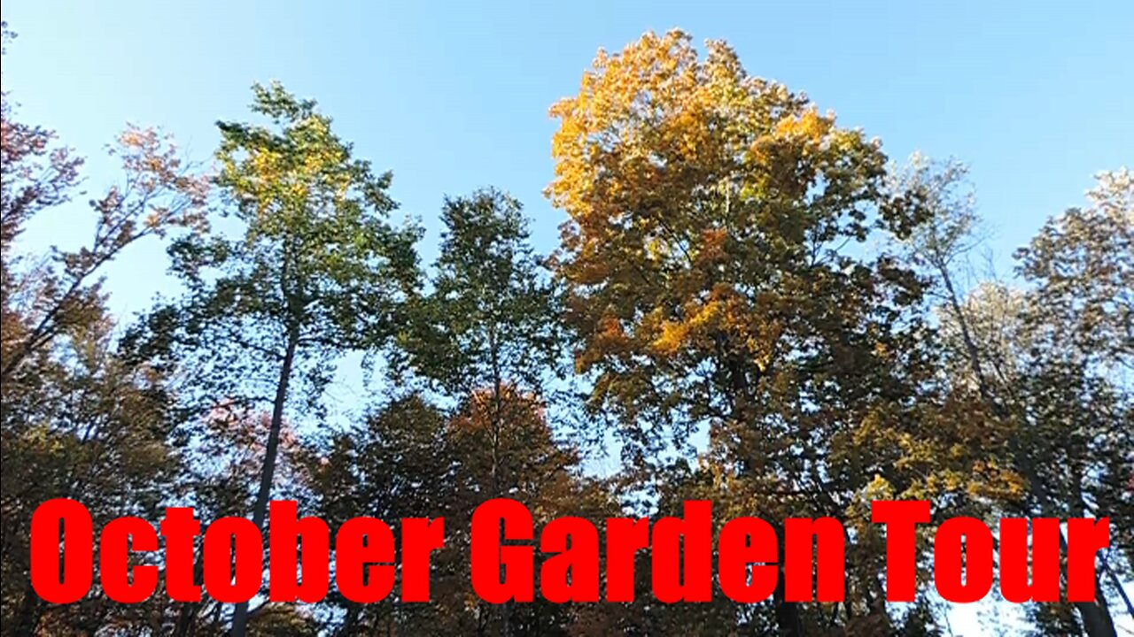 October 2022: Garden Tour