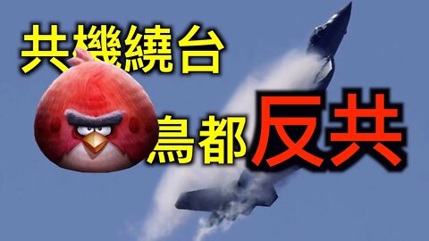 中共戰機擾台激怒小鳥,胡錫進痛國民黨倒戈!疫苗價差37倍且優先捐贈國外遭怒批,總加速師是狗引關注……