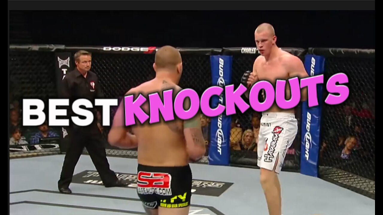 Best Knockouts in UFC