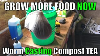 Grow More FOOD NOW with WORM CASTING COMPOST TEA