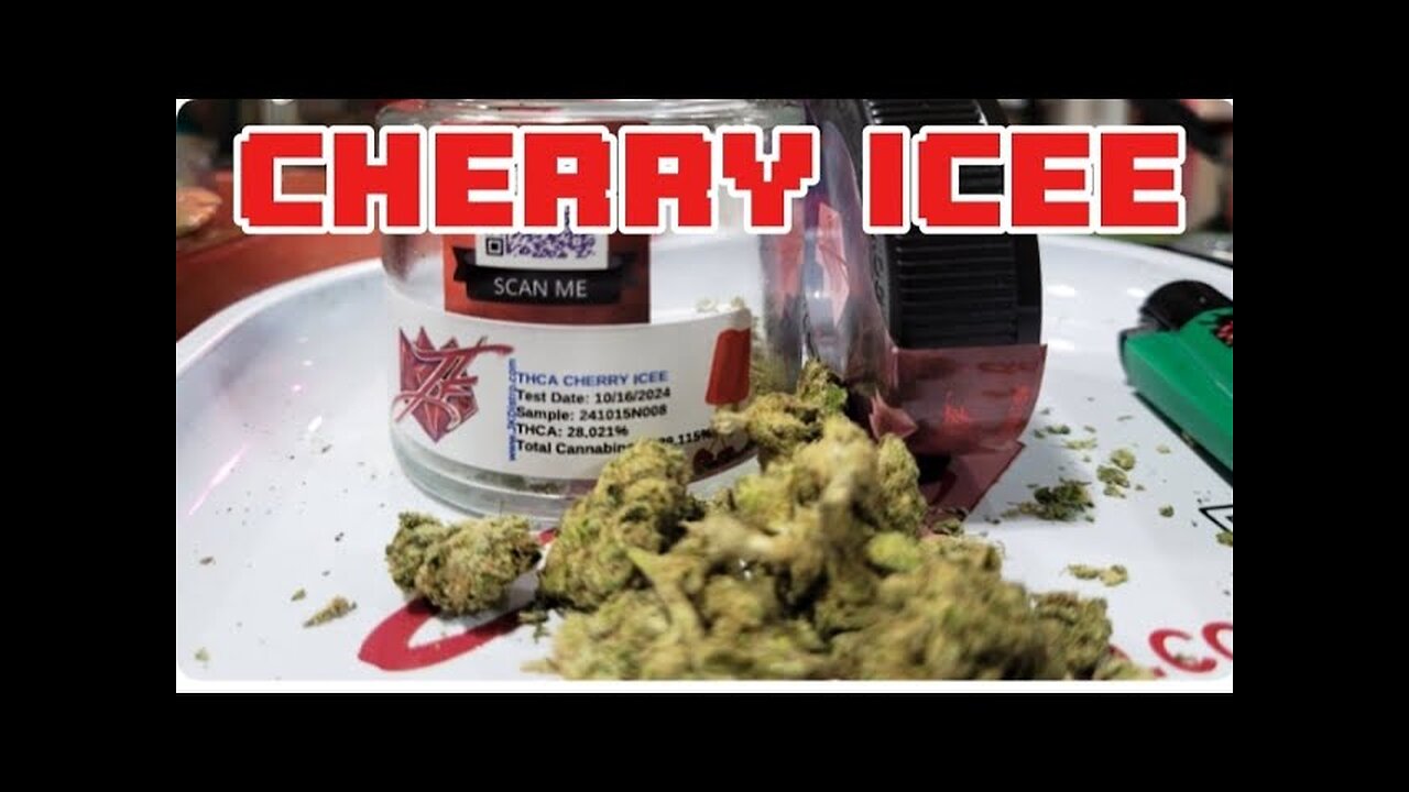 would you rather 420 edition 🌿 ft. cherry icee & jk distro vibes!