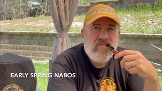 Early Spring NABOs