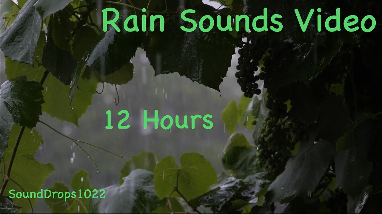 12-Hour Rain Ambiance: Day and Night Serenity