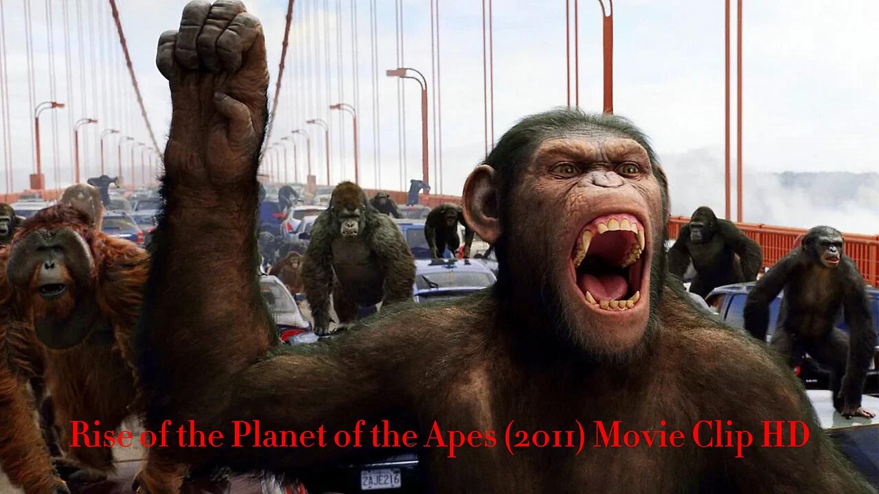 Apes vs Humans - Bridge Battle - Rise of the Planet of the Apes (2011) Movie Clip HD