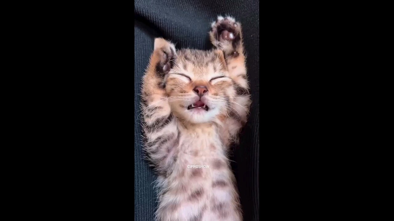 Me talking in my sleep: